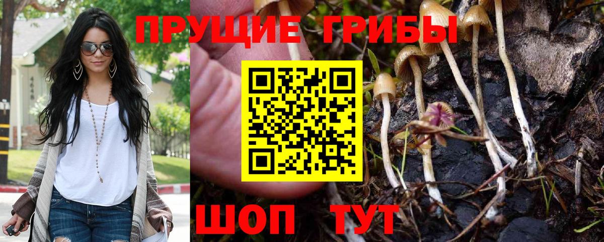 Ишимбай  Псилоцибиновые грибы Magic Shrooms  Вход с VPN 